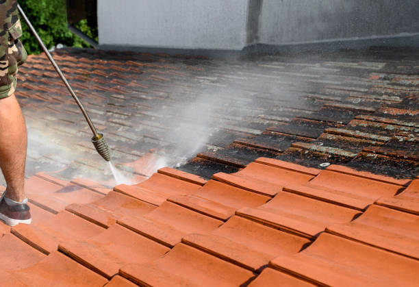 Best Sidewalk Pressure Washing  in Washgton, IN